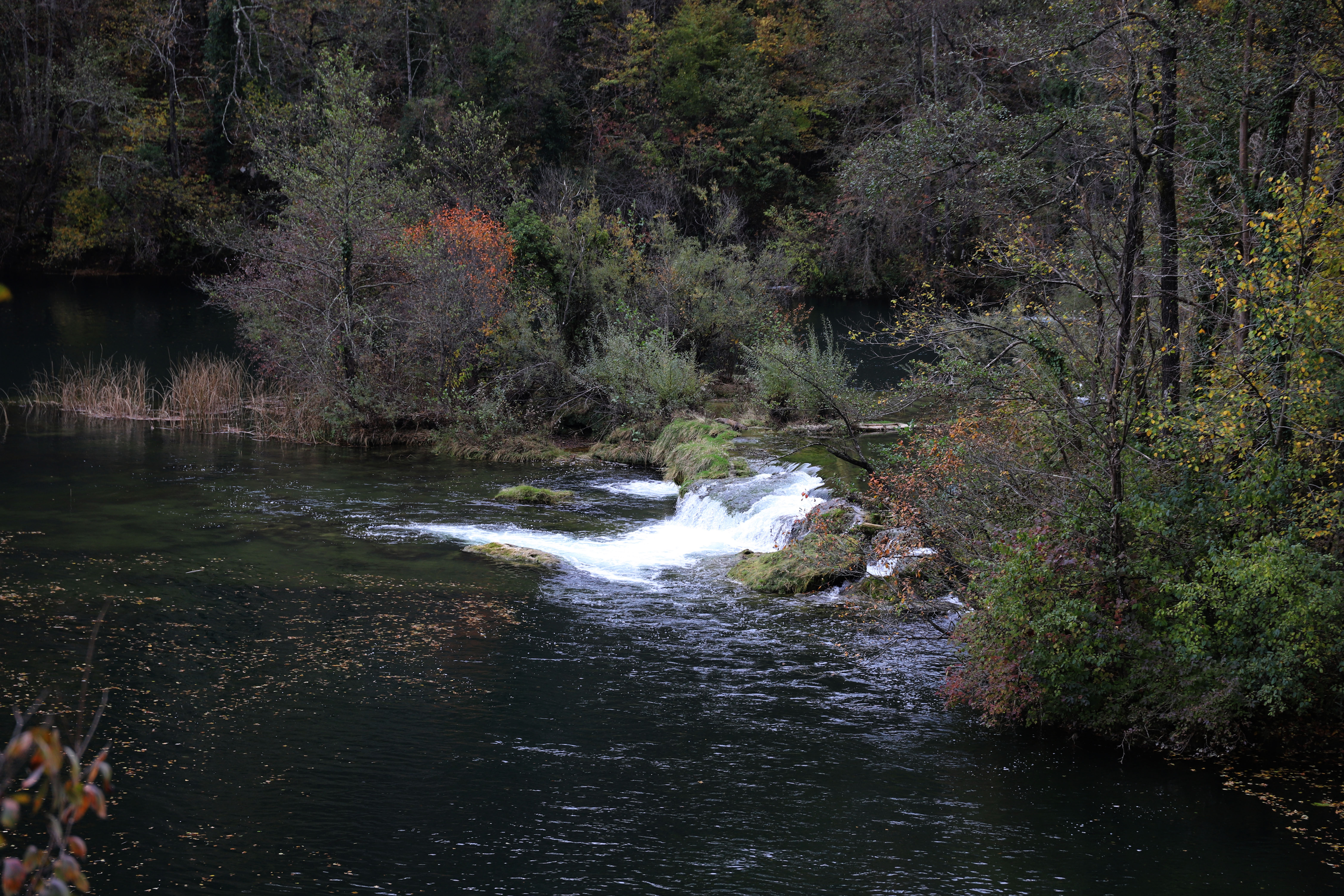Mreznica river